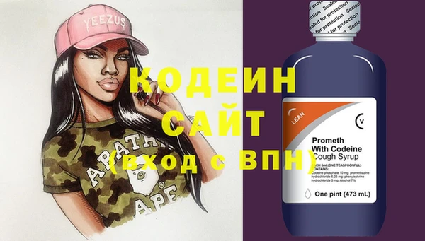 гидра Кодинск