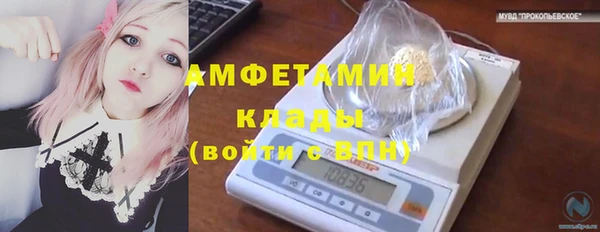 ПСИЛОЦИБИНОВЫЕ ГРИБЫ Алексин
