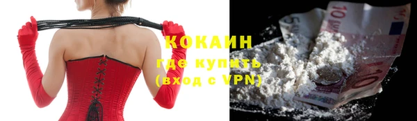 винт Алзамай