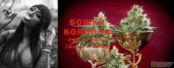 ECSTASY Козловка