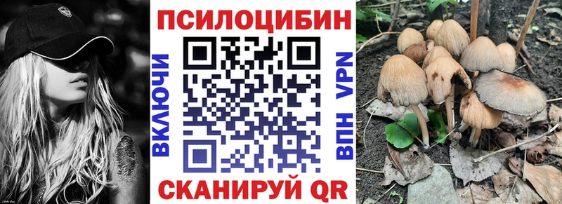 гидра как зайти Гвардейск Псилоцибиновые грибы ЛСД